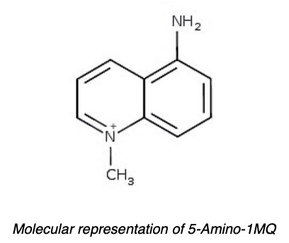 Molecular representation of 5-Amino-1MQ