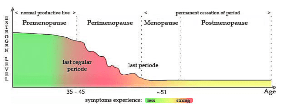 Estrogen Level Chart