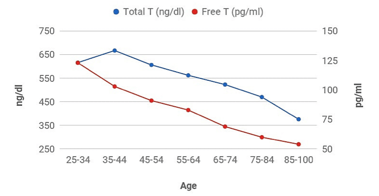 Testosterone Levels Graph