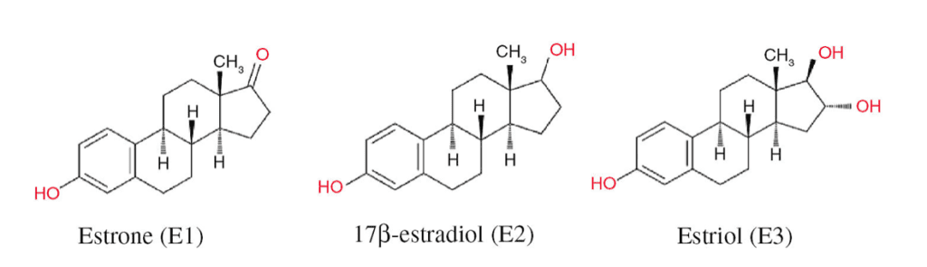 Hormone molecular diagrams