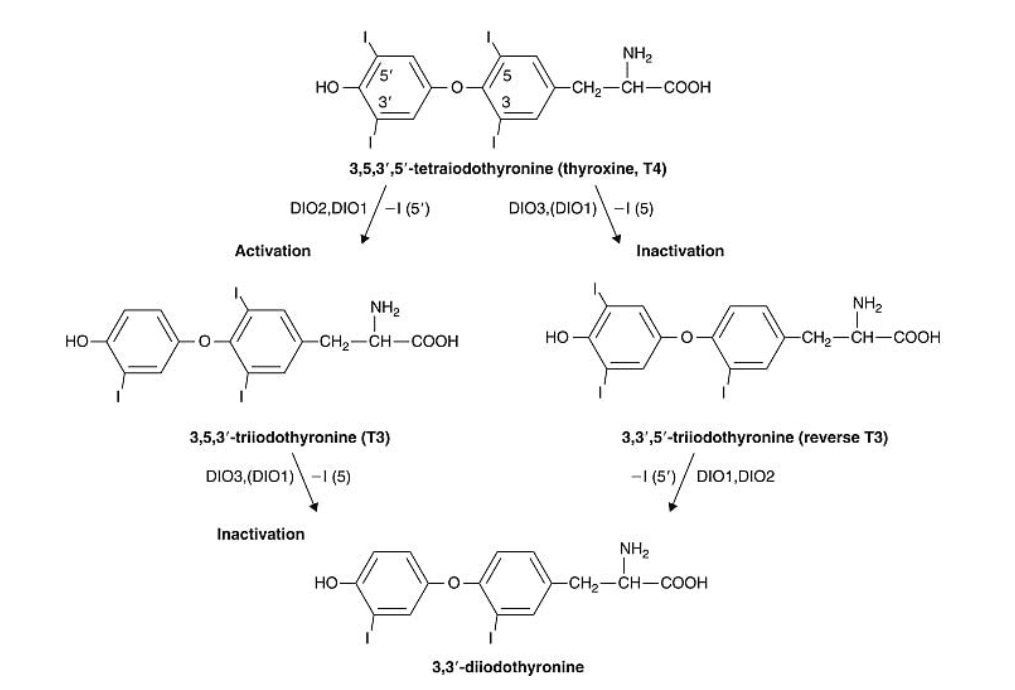 chemical diagrams