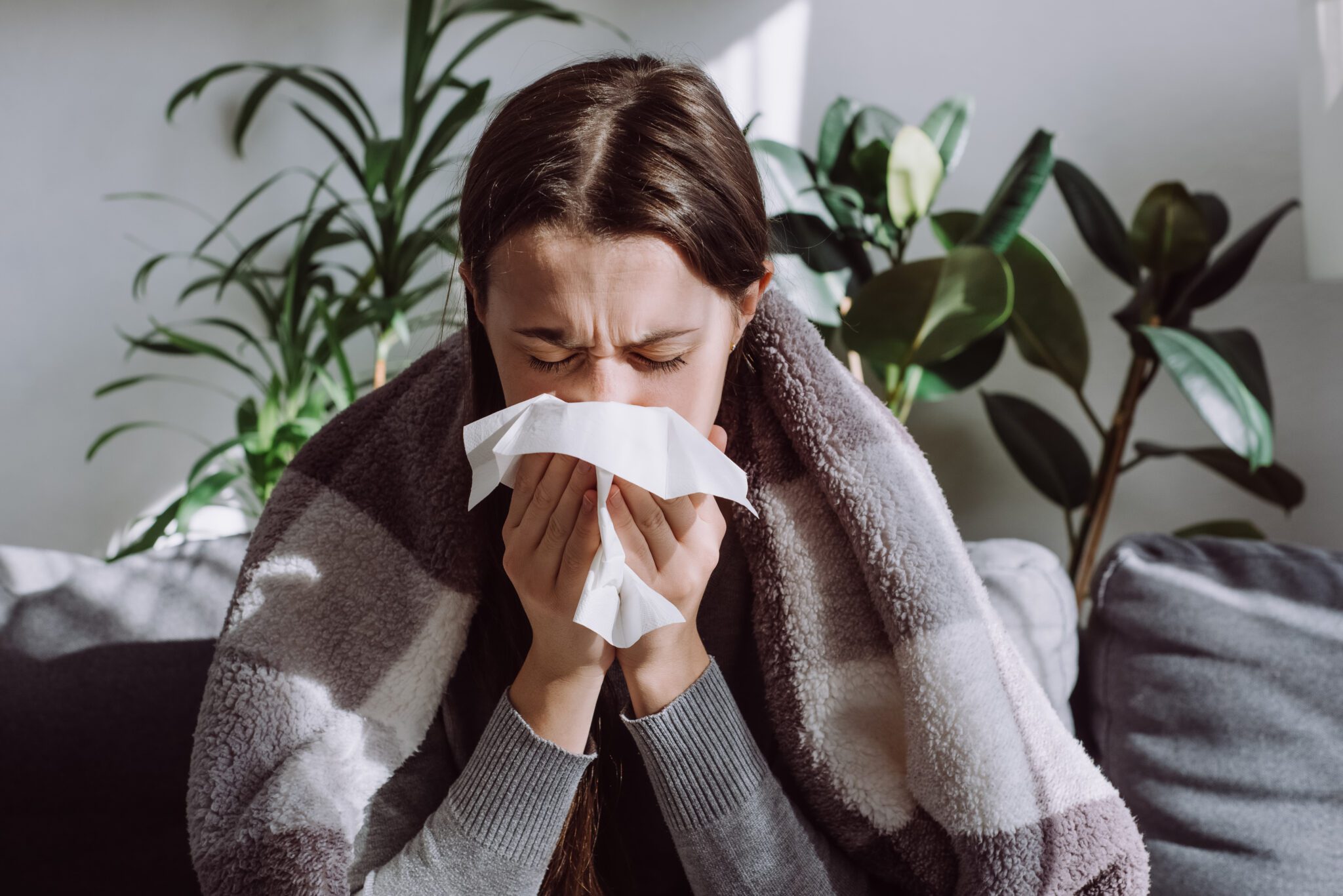 Featured image for “Cold, Flu, or Allergies? Understanding the Difference”